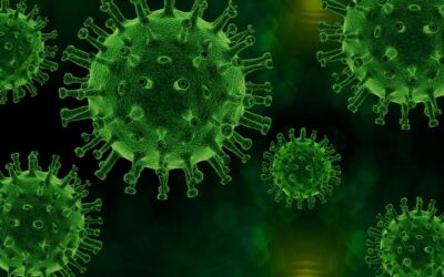 Osservatorio Indipendente Commissione Pandemia – DOCUMENTO al 1-4-25